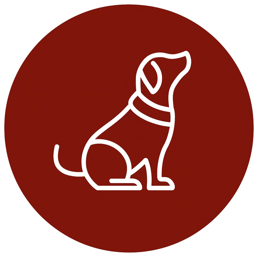 Hundkläder