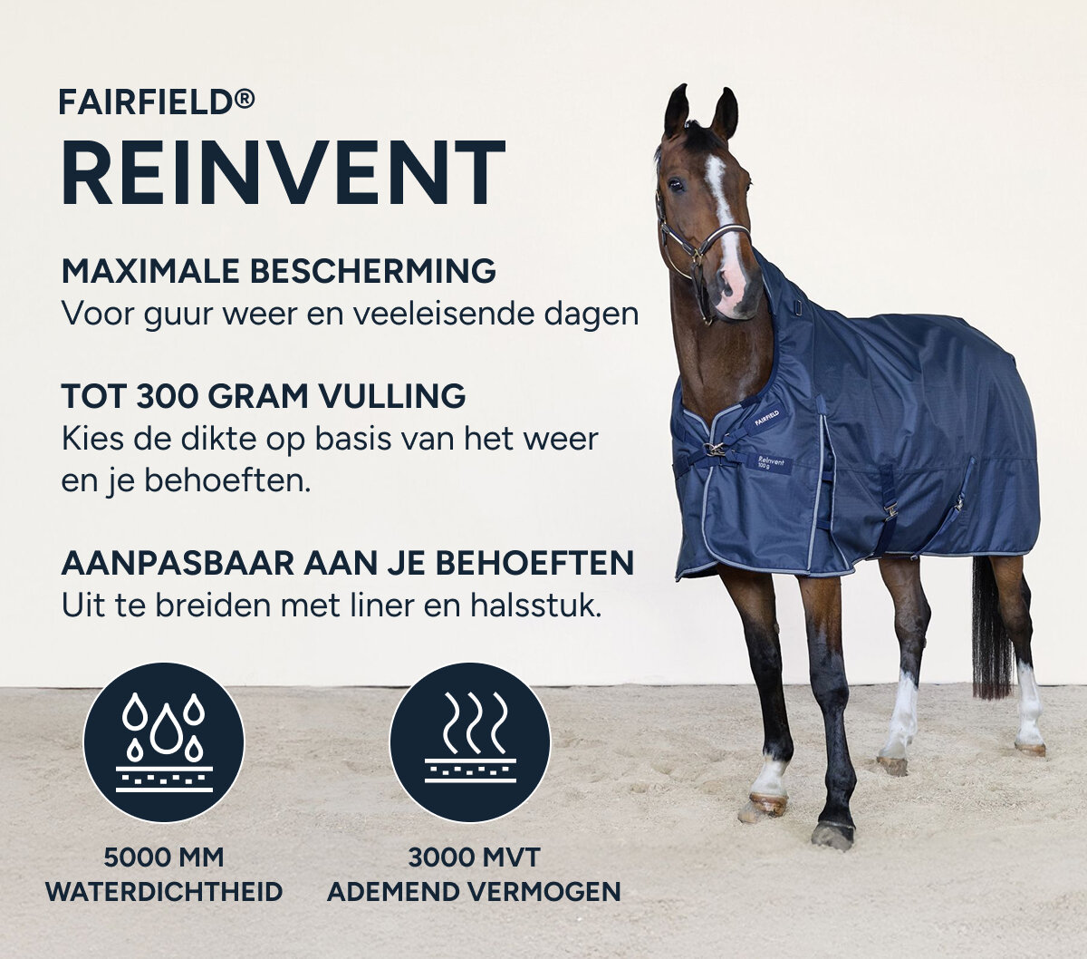 reinvent