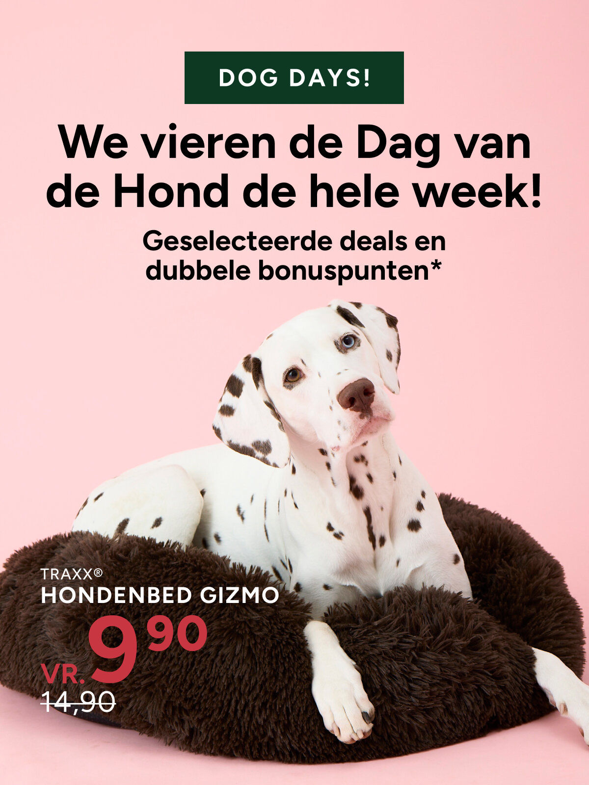dog deals