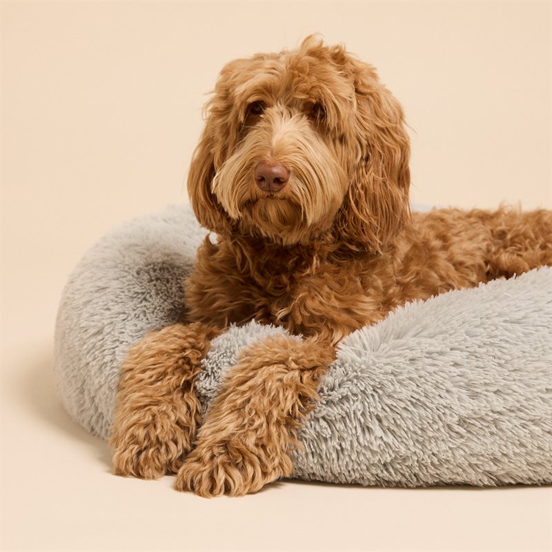 Hondenbed Gizmo traxx® Grijs