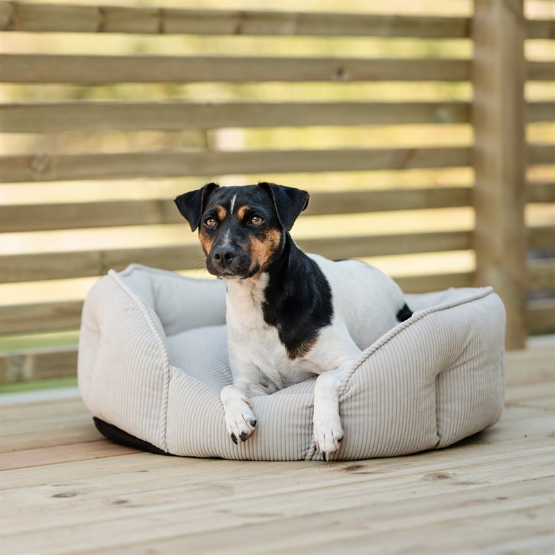 Hondenbed Stella traxx® Beige