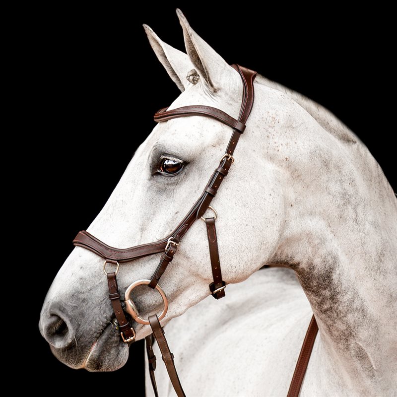Hoofdstellen Micklem Competition Horseware® Bruin