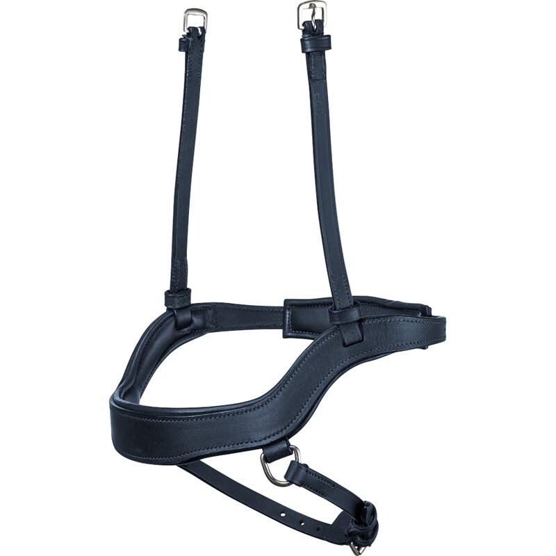 Neusriem Fairfield® Zwart