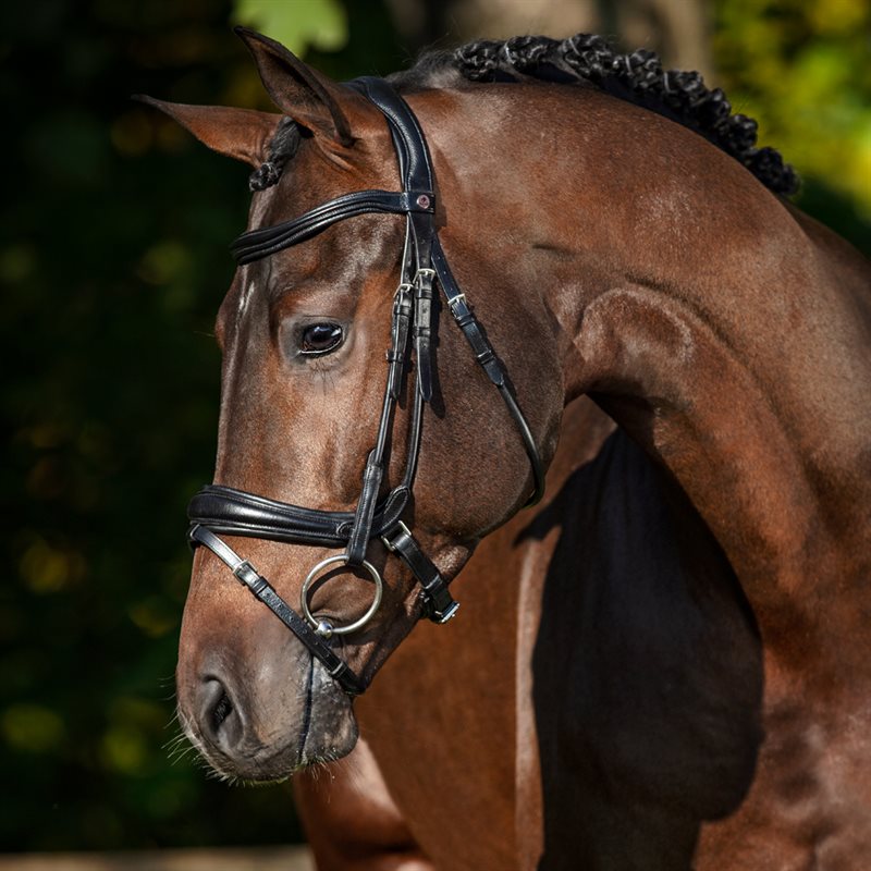 Neusriem gecombineerd met hoofdstel Neston Fairfield® Zwart