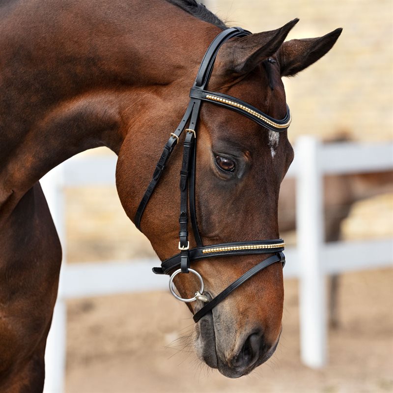 Neusriem gecombineerd met hoofdstel Axford Fairfield® Zwart