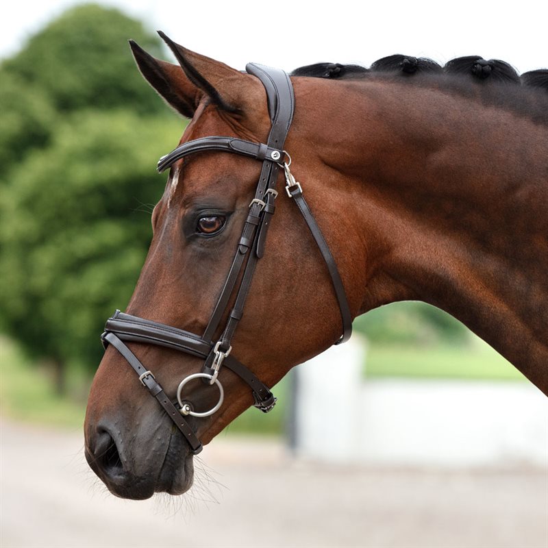 Neusriem gecombineerd met hoofdstel Skipton Fairfield® Donkerbruin