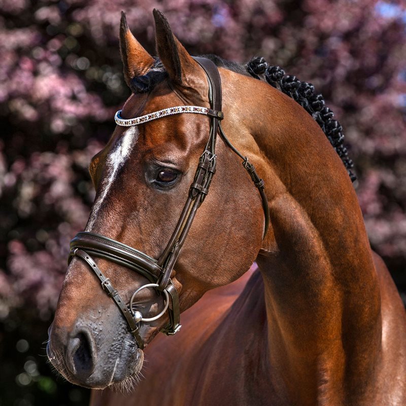 Hoofdstellen Aachen Ancona JH Collection® Donkerbruin