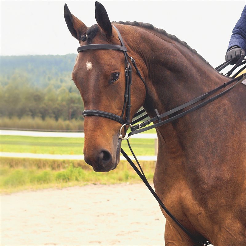 Trekteugels Fairfield® Donkerbruin