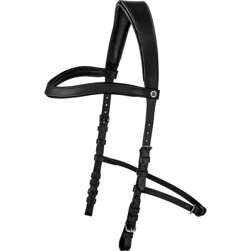 Hoofdstel Hackamore Fairfield® Zwart