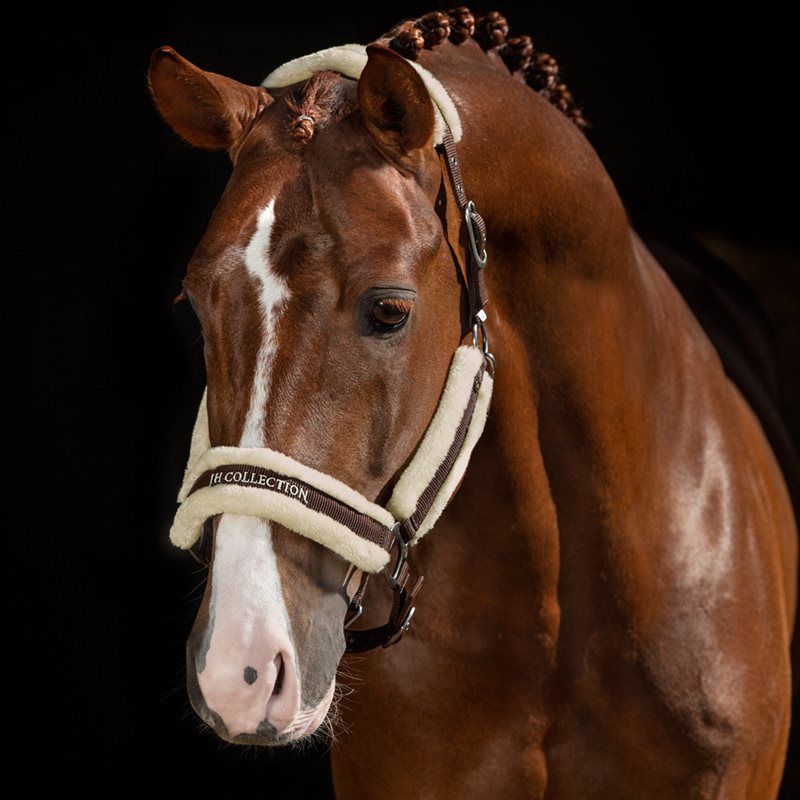 Halster Cesano JH Collection® Bruin