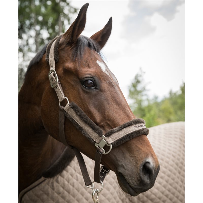 Halster Haze Back on Track® Bruin
