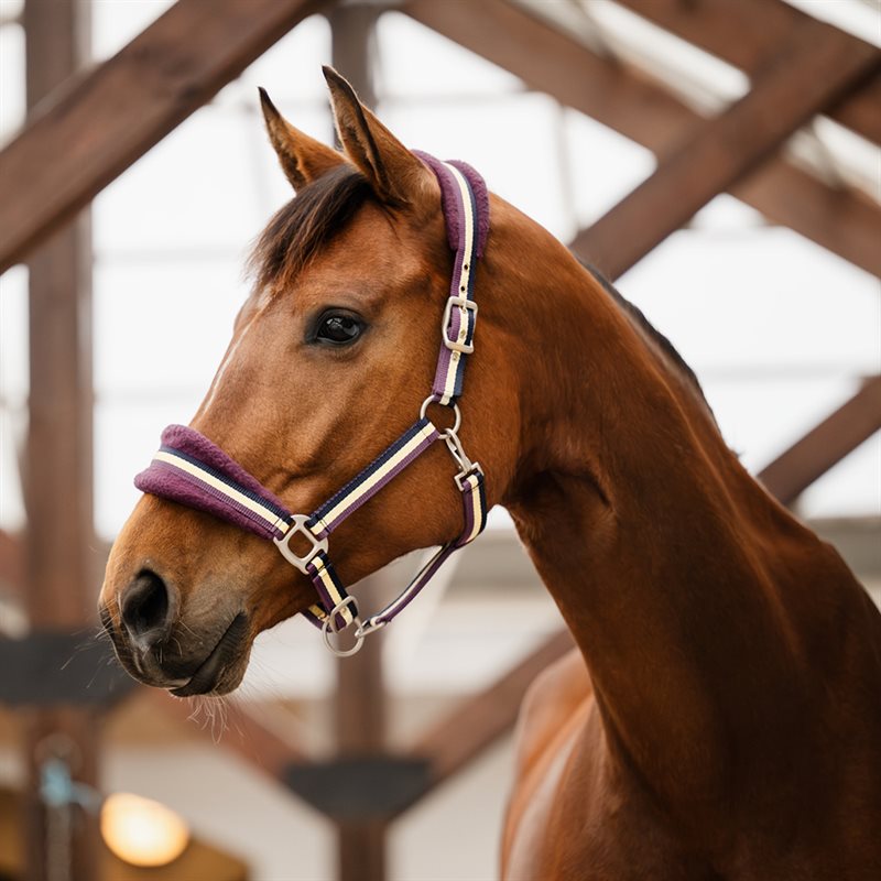 Halster Loretin Fairfield® Wijnrood