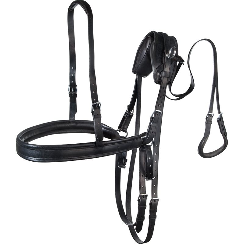 Borstharnas Fairfield® Zwart