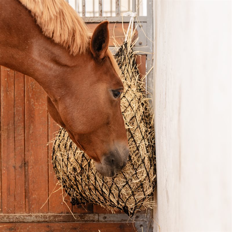 Hooinet Slowfeed Zwart