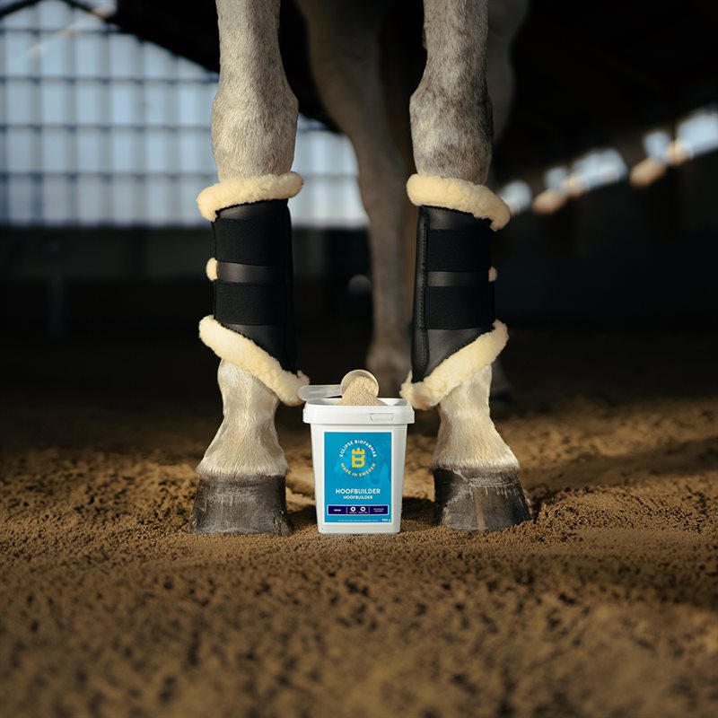 Voedingssupplementen - hoeven Hoofbuilder Eclipse Biofarmab
