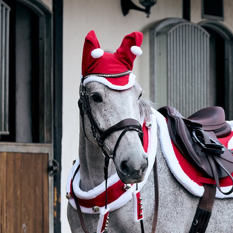 kerstmuts Rudolf CRW® Rood