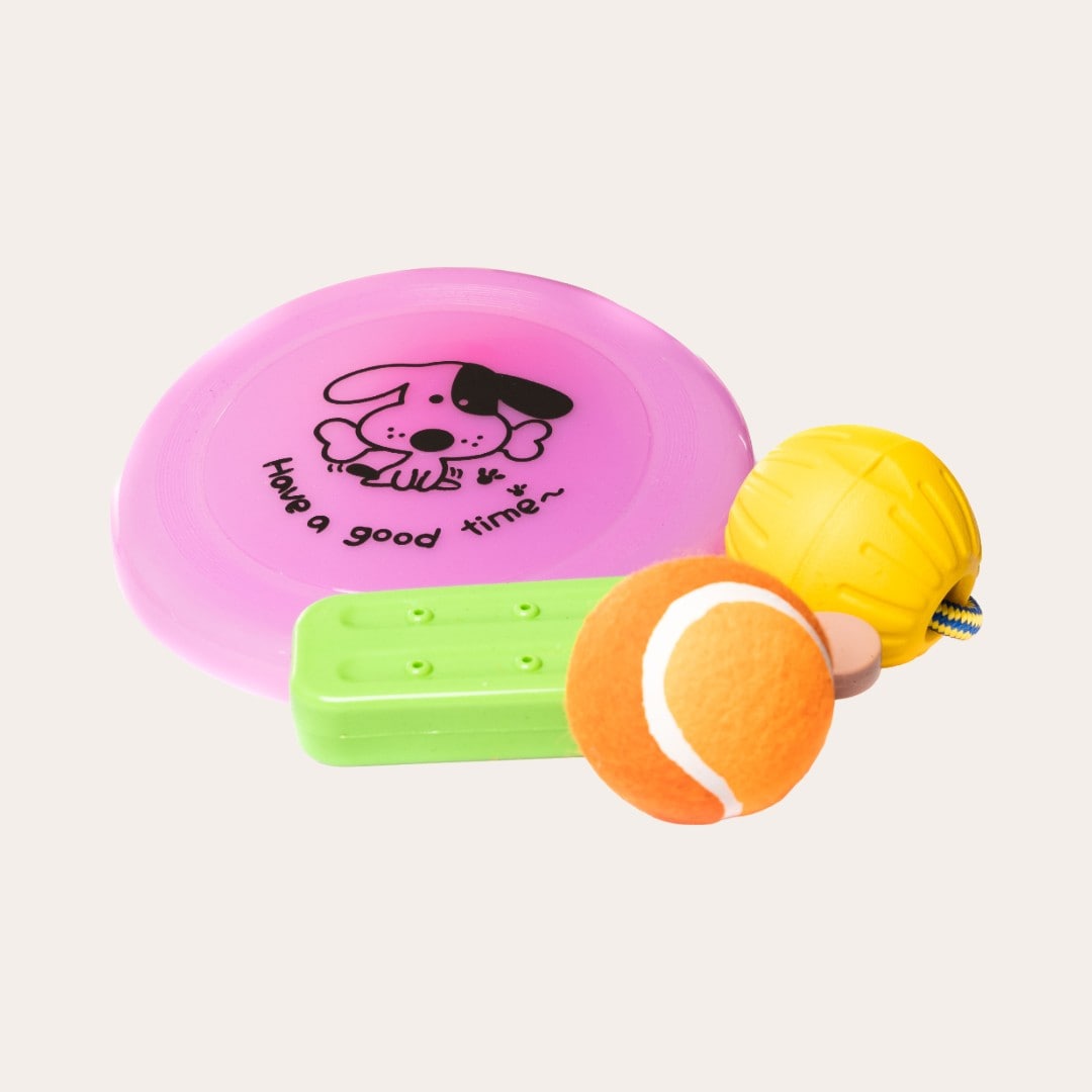 Hondenspeelgoed Active Canis Dog Toy Mix Active Canis