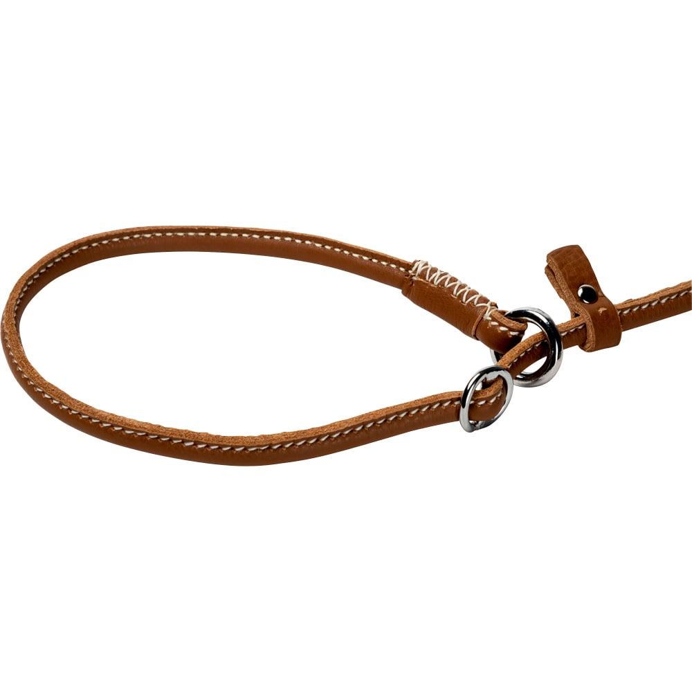 Retriever-riem Leer Galaksi traxx®