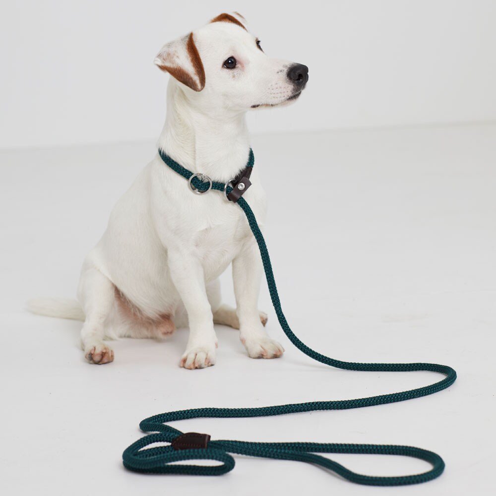 Lijn Mallard traxx®