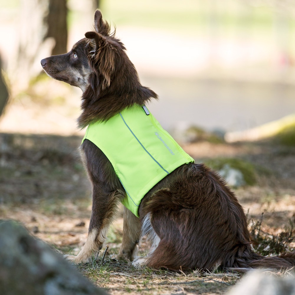 Reflecterend vest  Polar traxx®