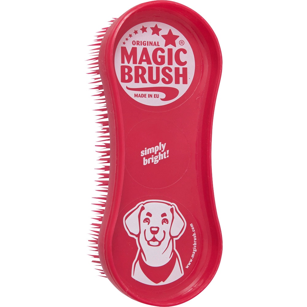 Rubberen minikerriekam Hond  Magic Brush