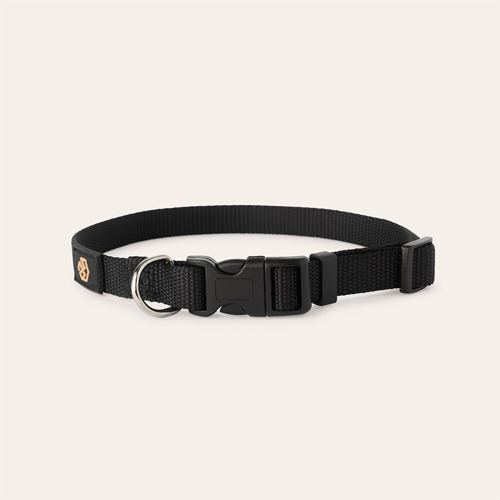 Halsband Hond Colour 2.0 traxx®