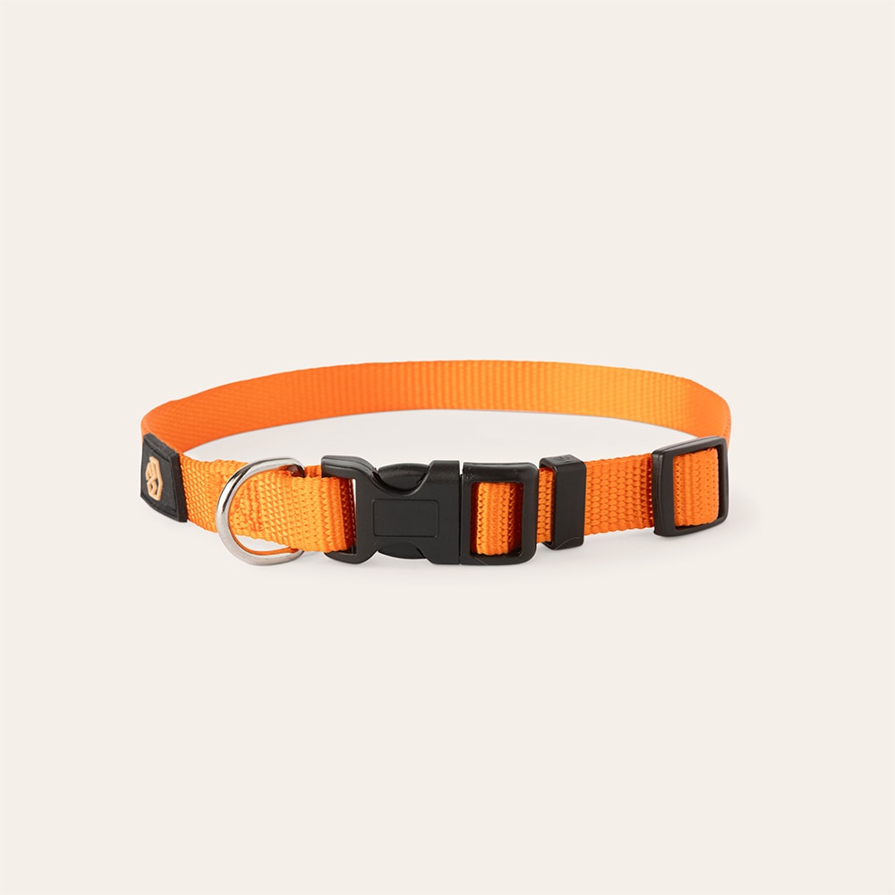 Halsband Hond Colour 2.0 traxx®