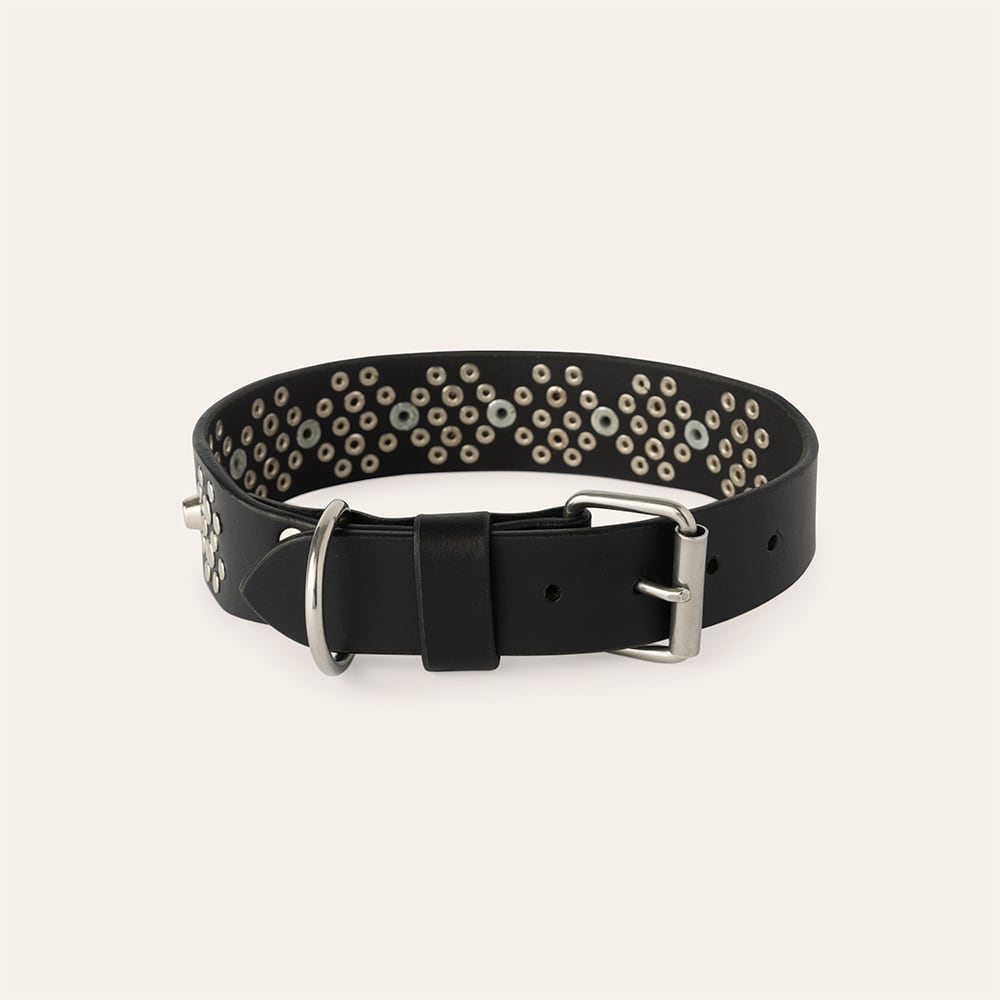 Halsband Hond Niksa traxx®