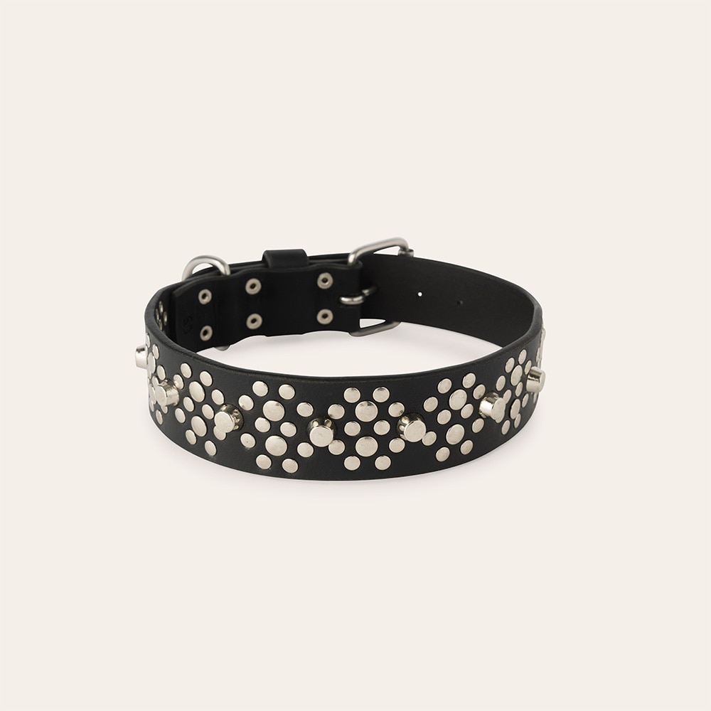 Halsband Hond Niksa traxx®
