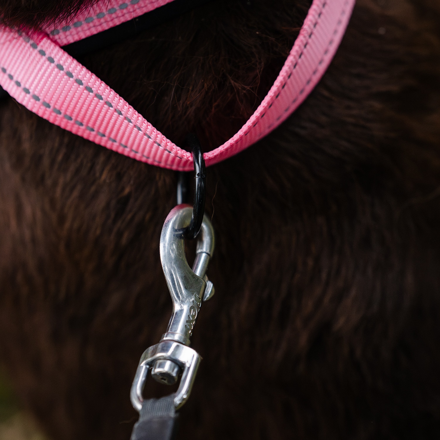 Hondentuig Base 2.0 traxx®