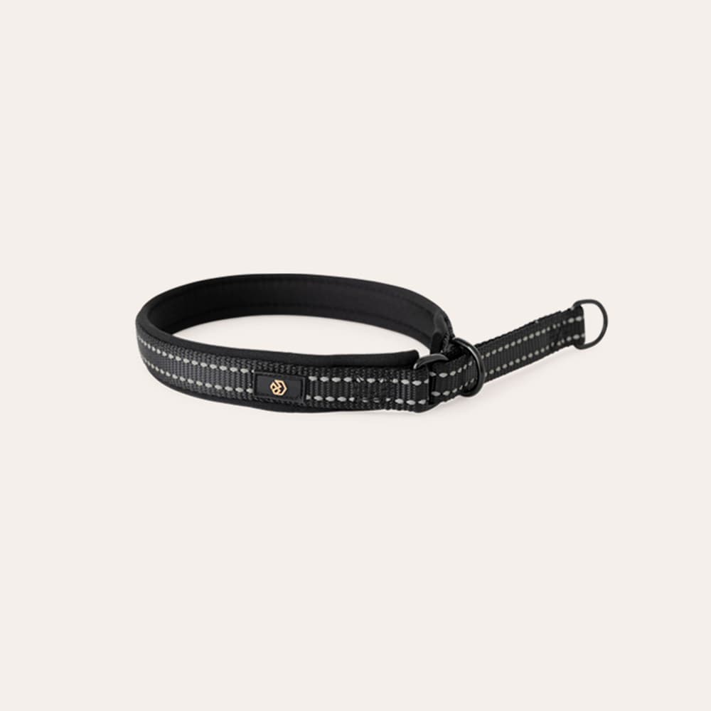 Halsband Hond Base 2.0 traxx®