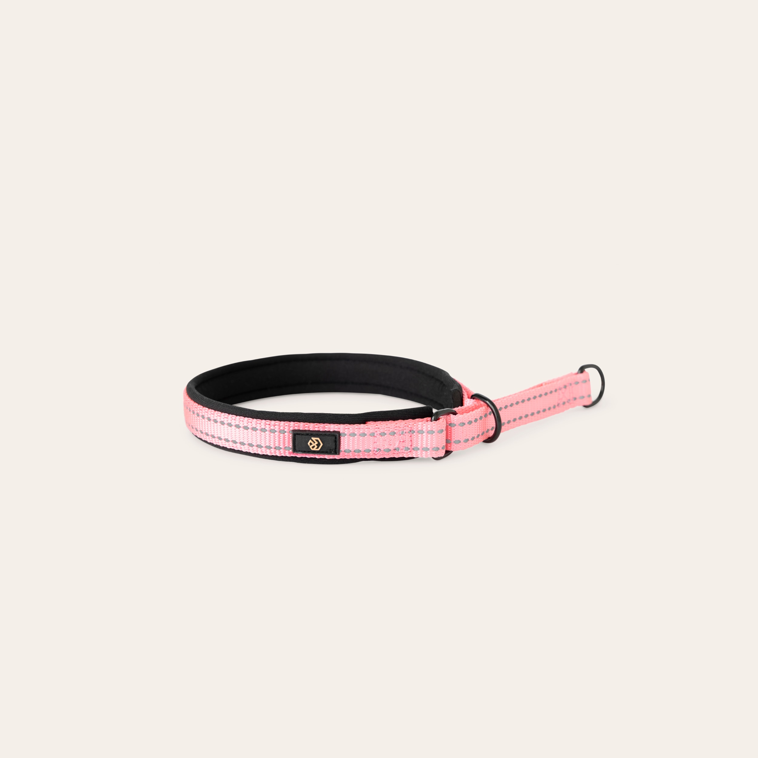 Halsband Hond Base 2.0 traxx®