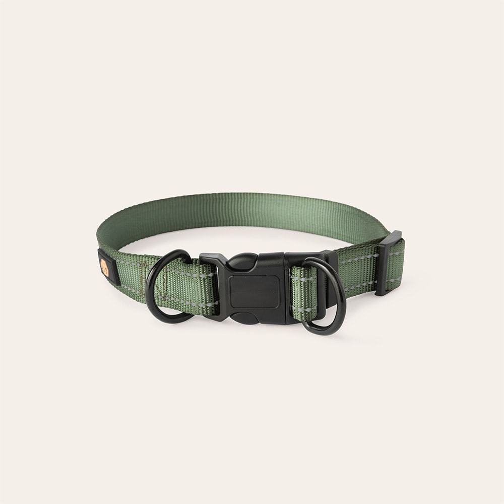 Halsband en riem Hond Traxx Base Multi 2.0 Halsband traxx®
