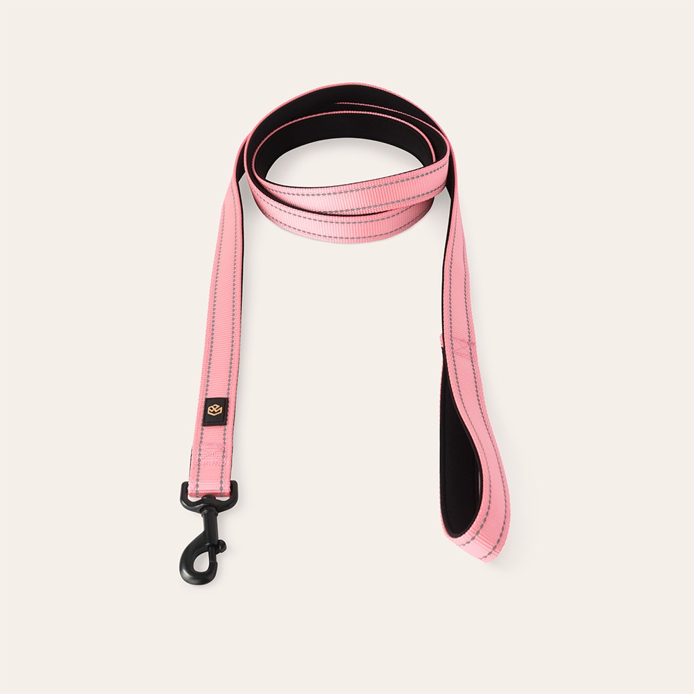 Halsband en riem  Traxx Base Multi 2.0 Koppel traxx®