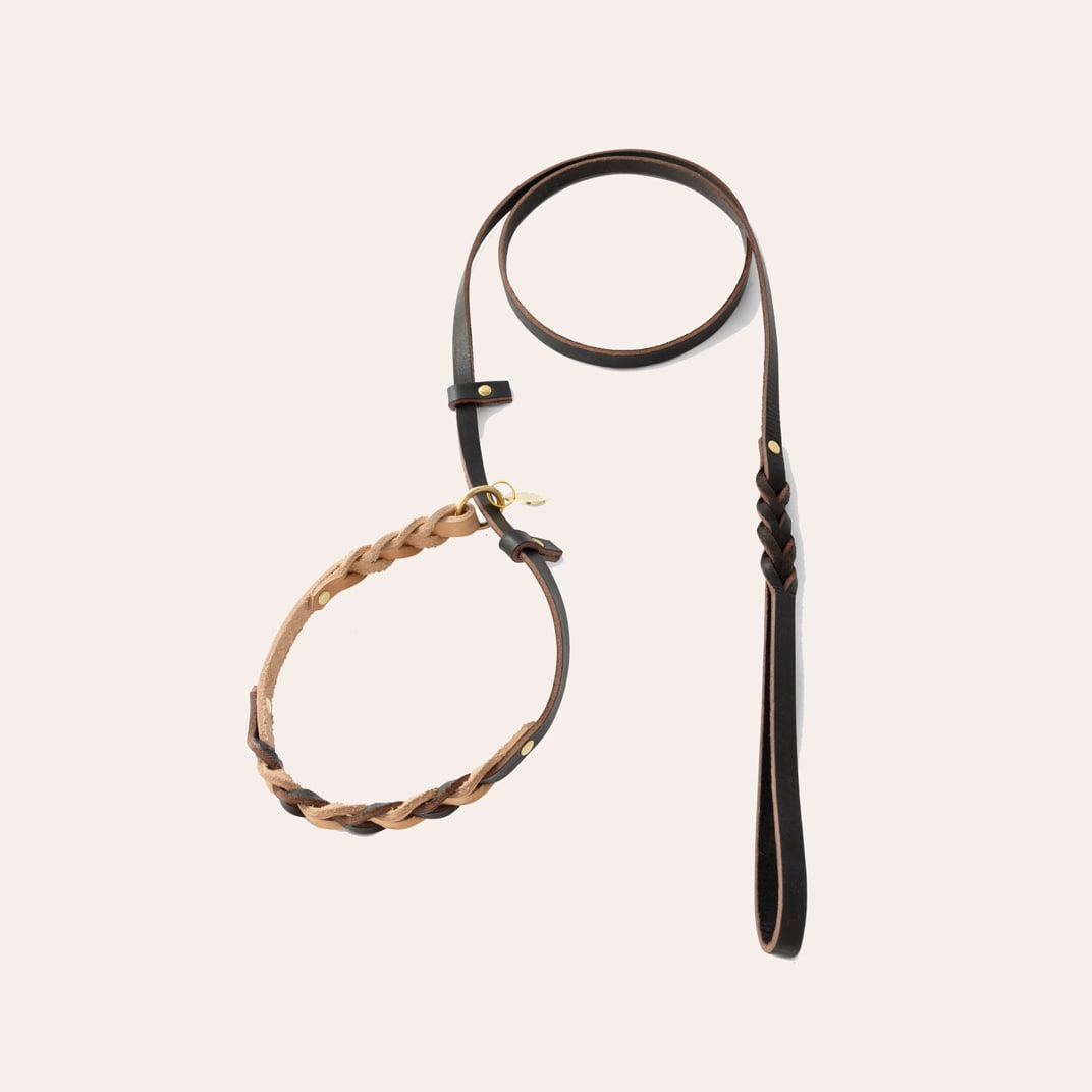 Halsband en riem Hond Felipe Retriever Alac