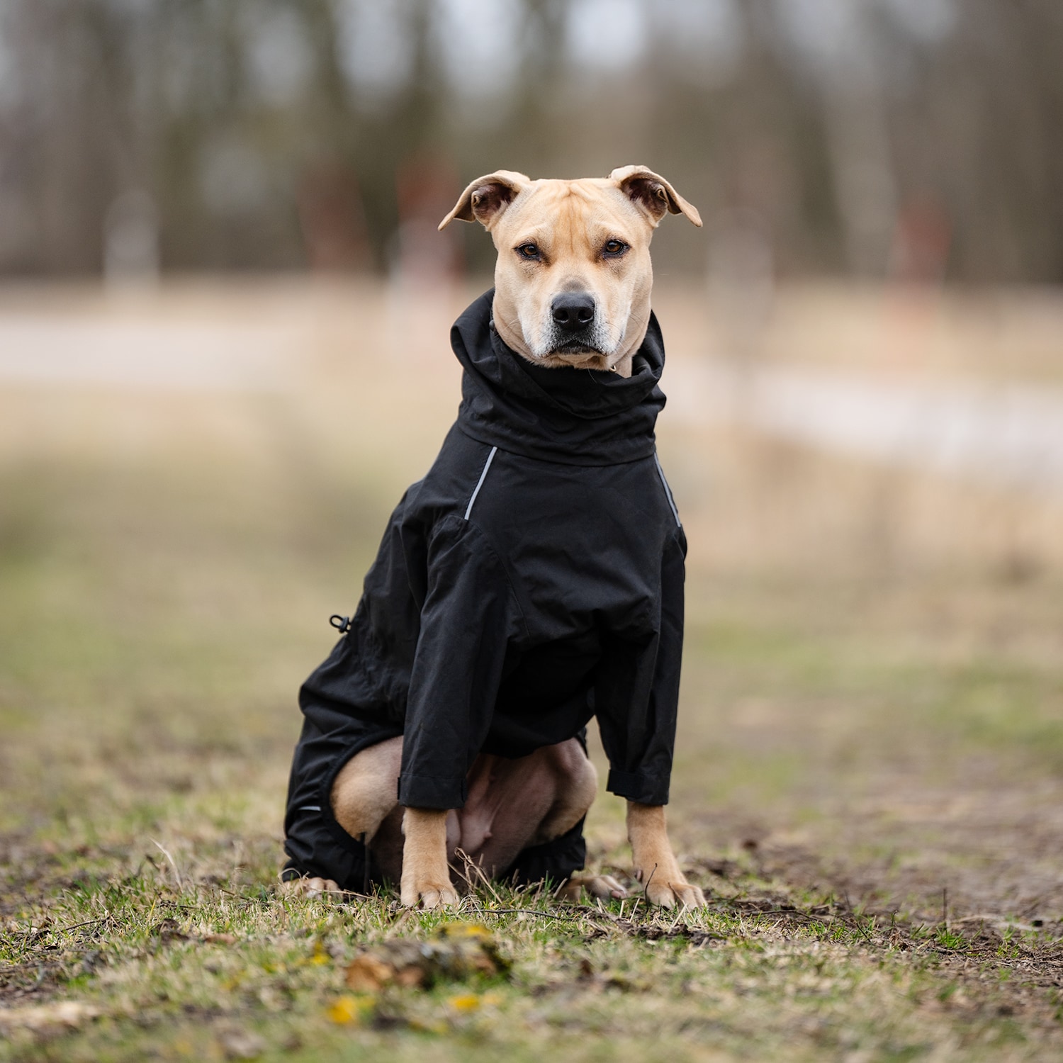 Hondenoverall  Bellona traxx®