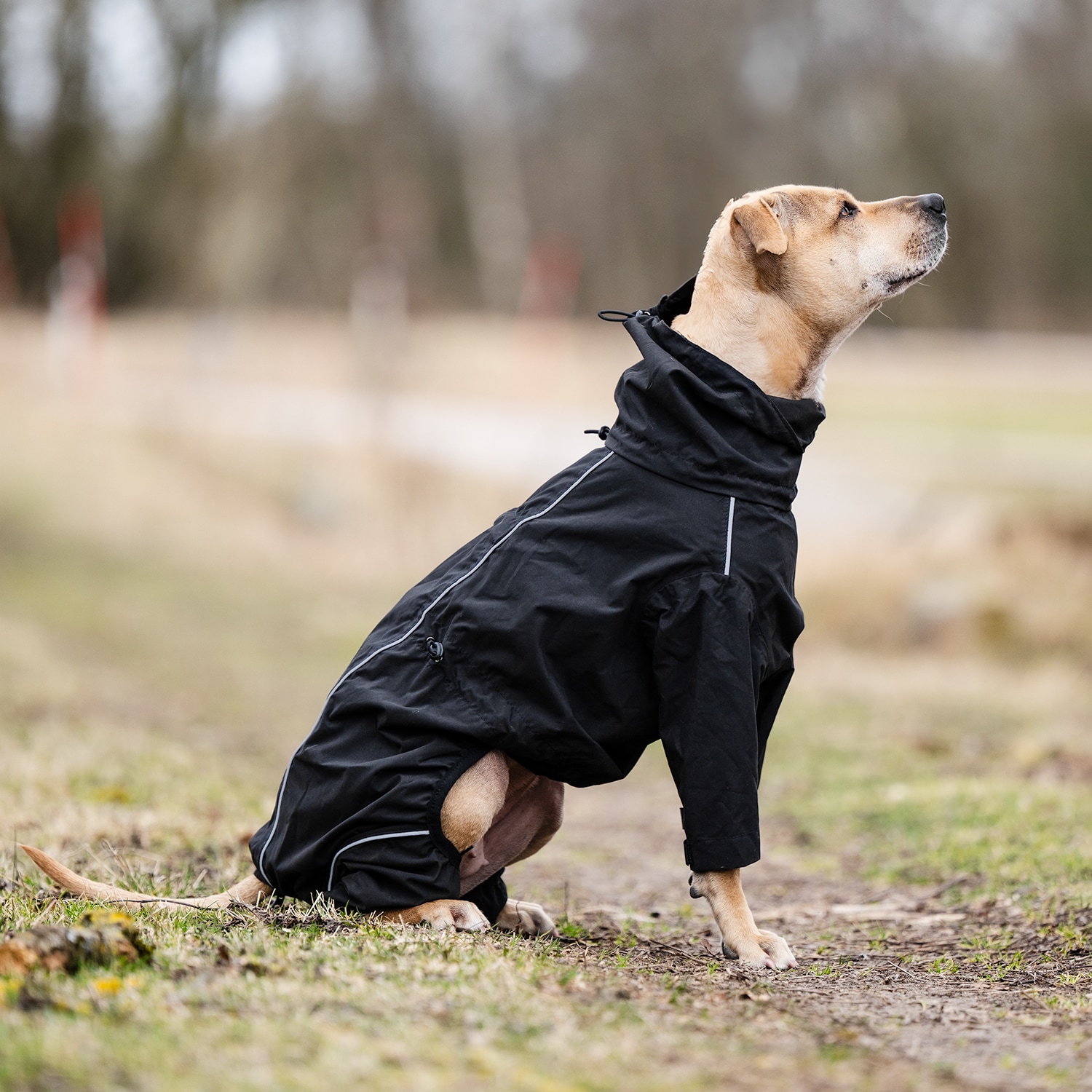 Hondenoverall  Bellona traxx®