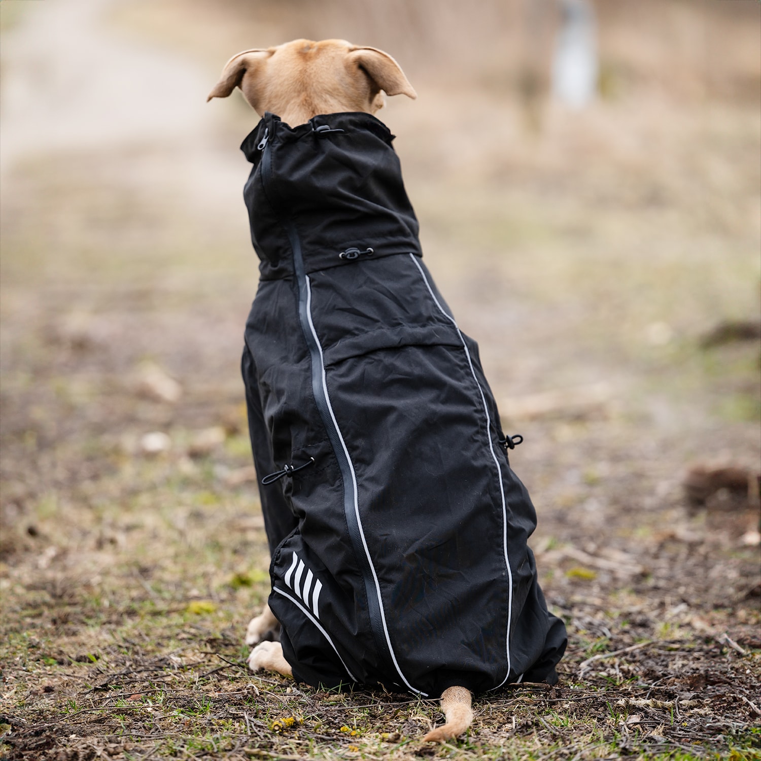 Hondenoverall  Bellona traxx®