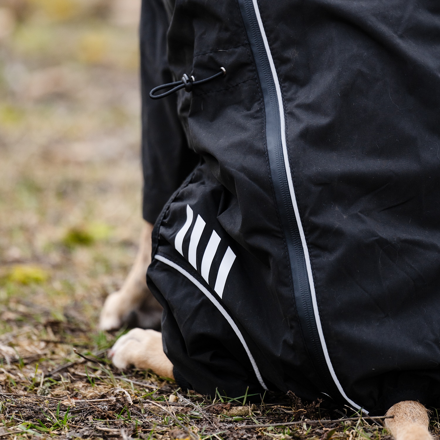 Hondenoverall  Bellona traxx®
