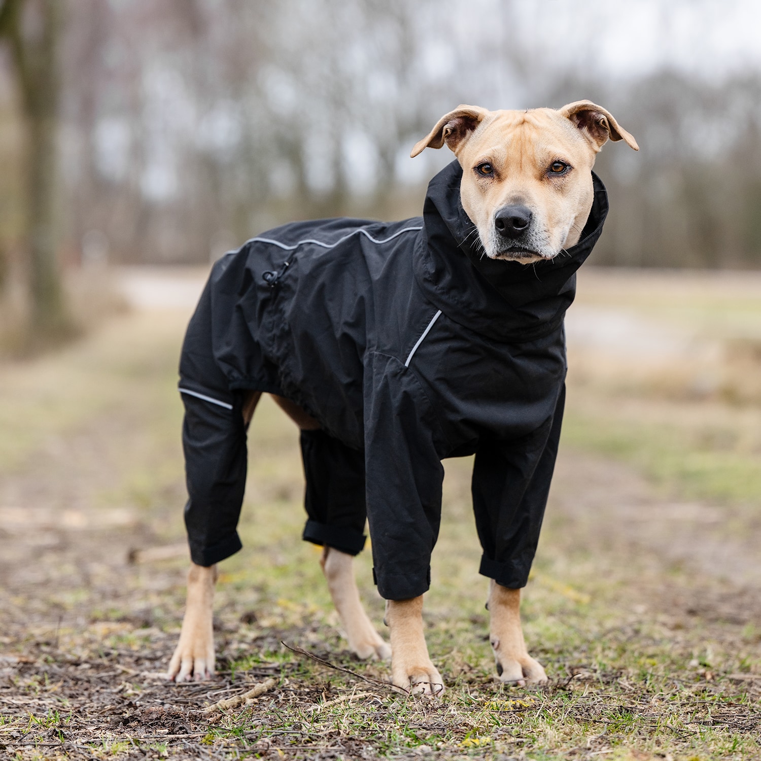 Hondenoverall  Bellona traxx®