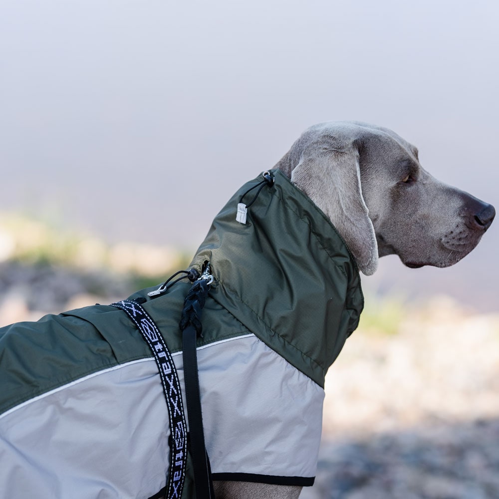 Jas Zorro Rain traxx®