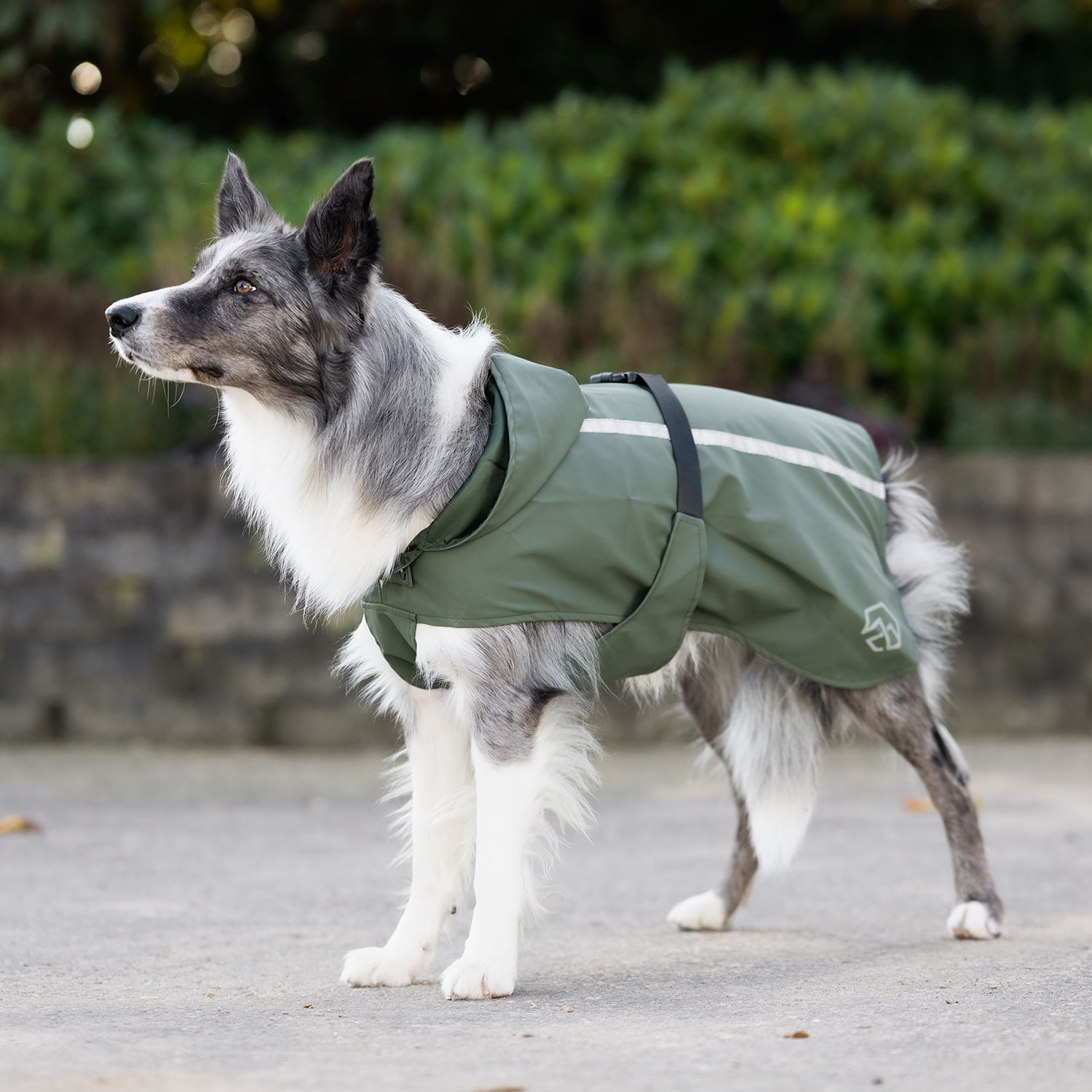 Regenjas Hond Archy traxx®