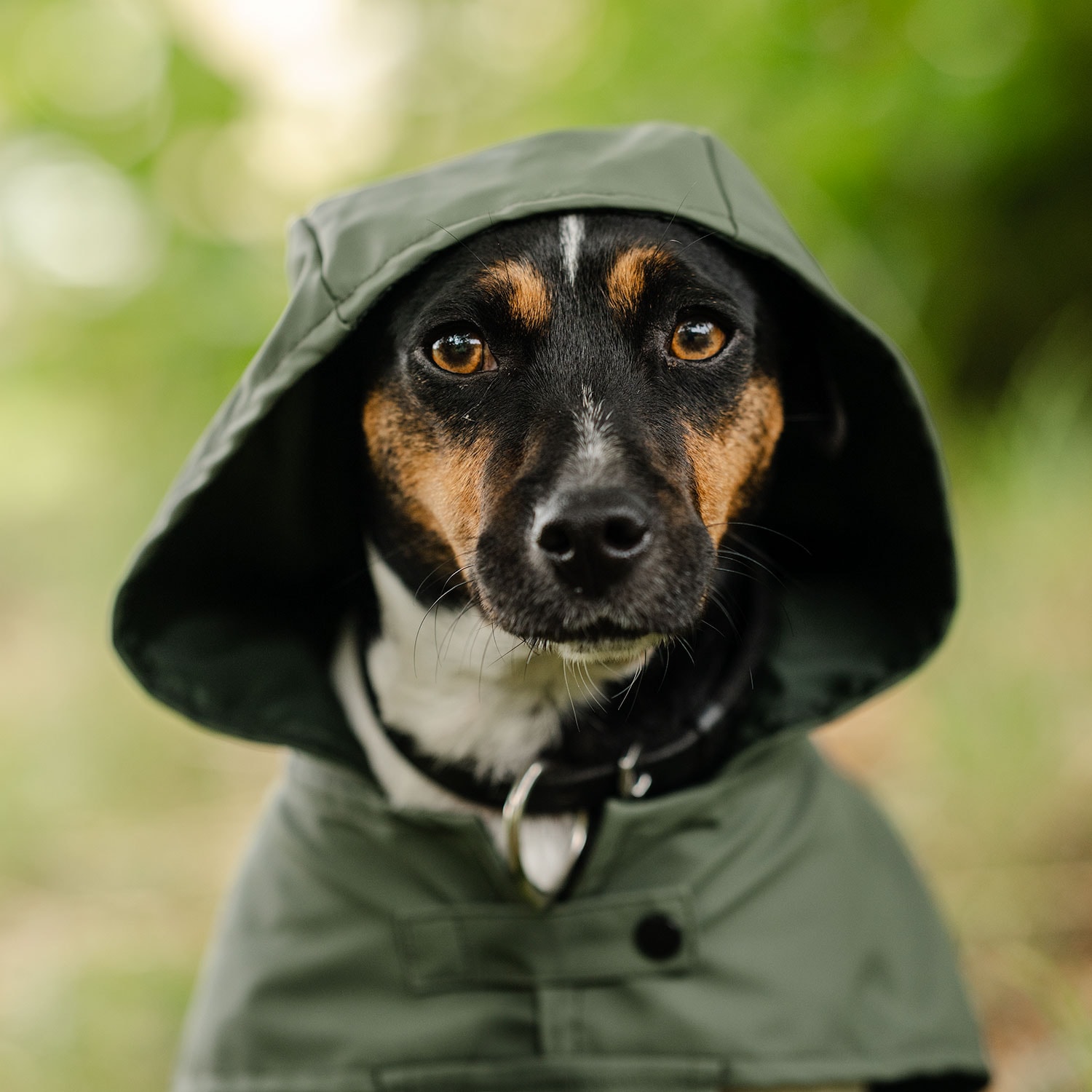 Regenjas Hond Archy traxx®