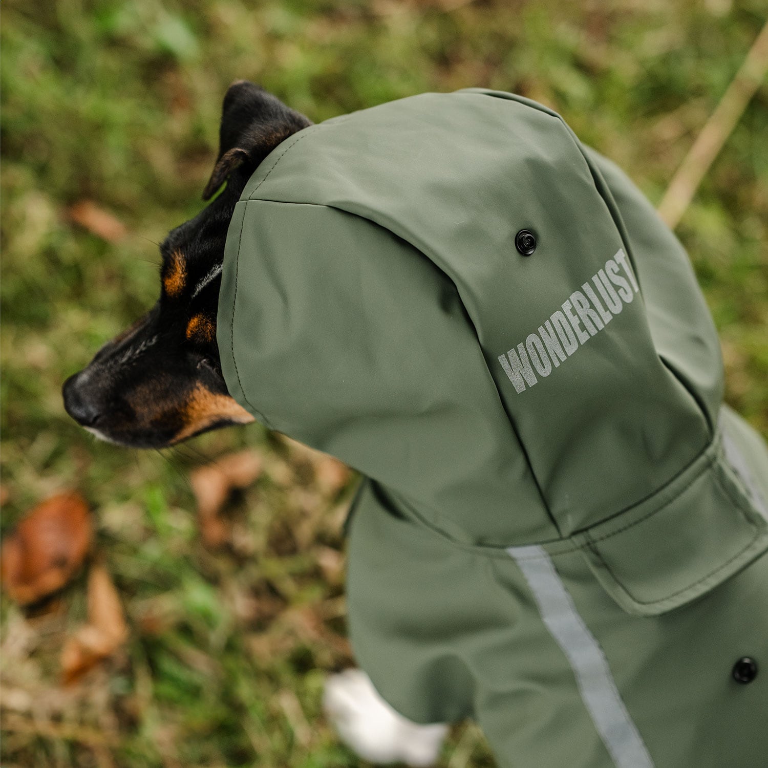 Regenjas Hond Archy traxx®