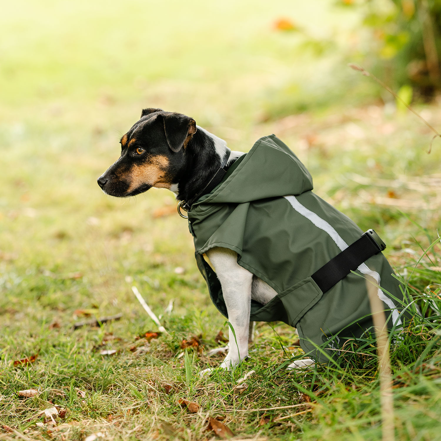 Regenjas Hond Archy traxx®