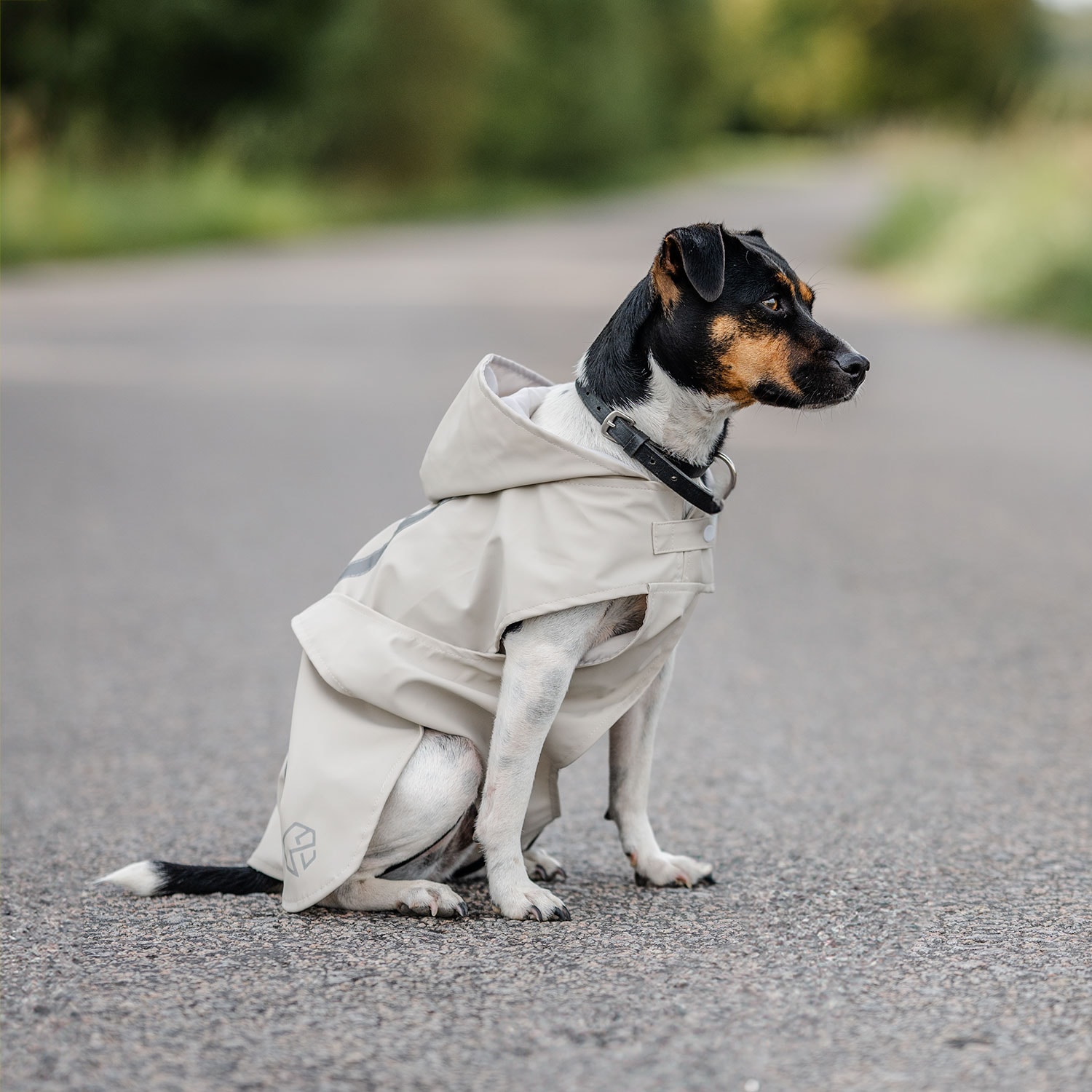 Regenjas Hond Archy traxx®