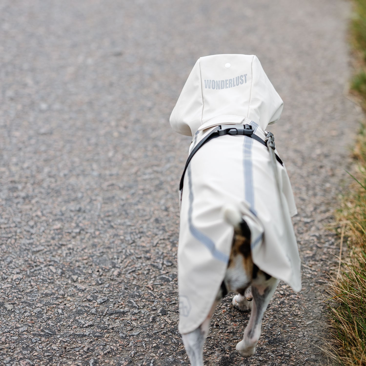 Regenjas Hond Archy traxx®