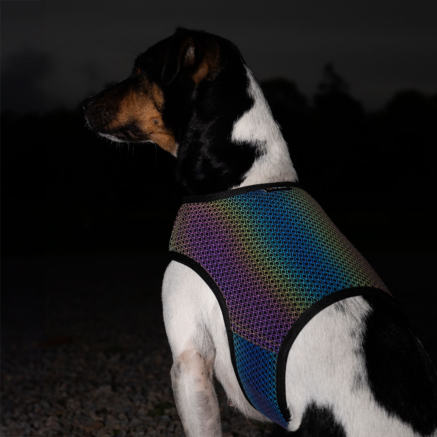 Reflecterend vest Hond Farid traxx®