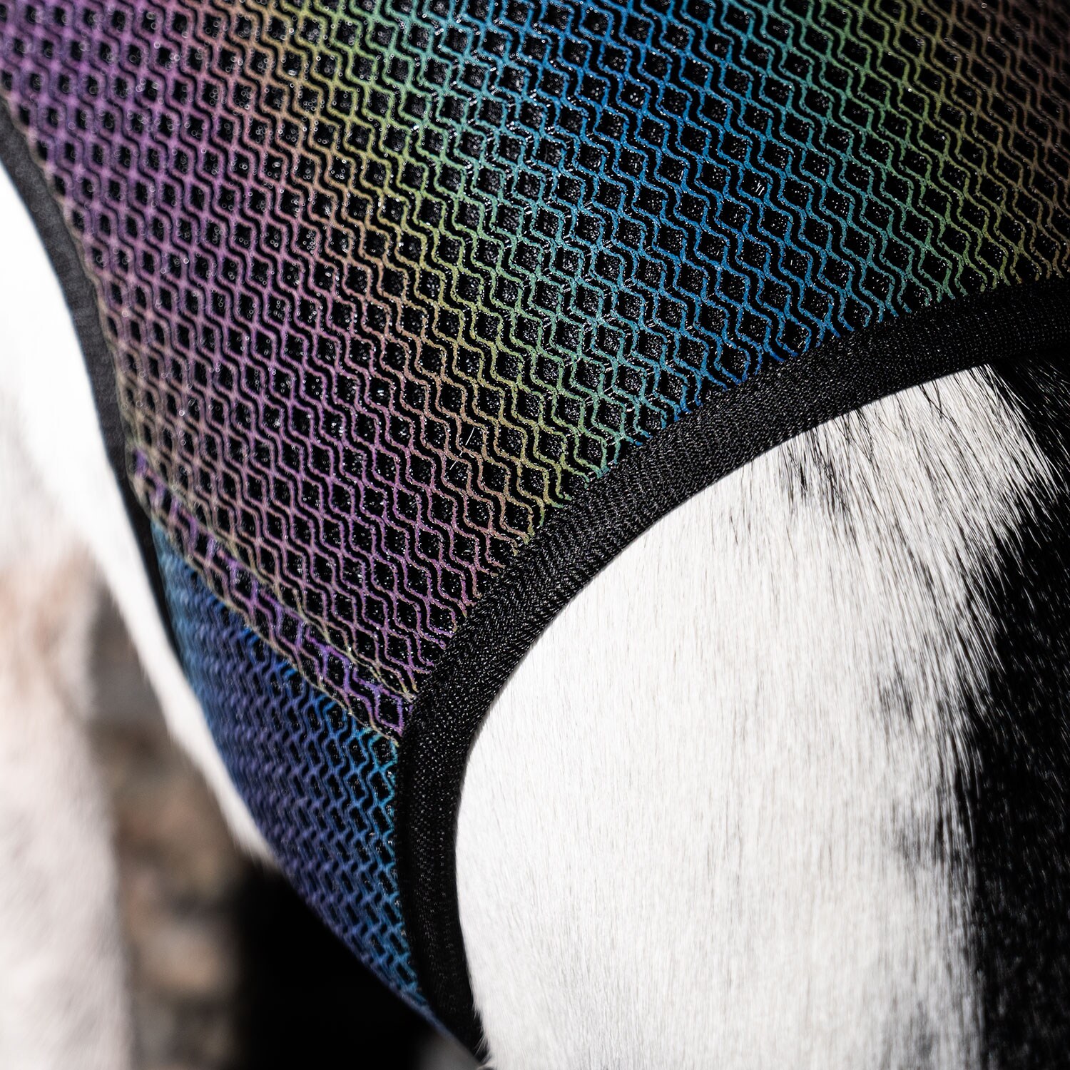 Reflecterend vest Hond Farid traxx®