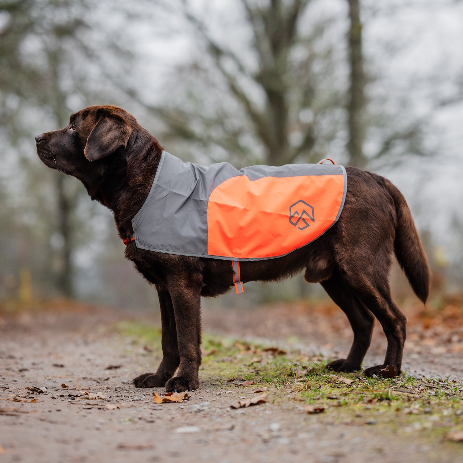 Reflecterend vest Hond Ringo traxx®
